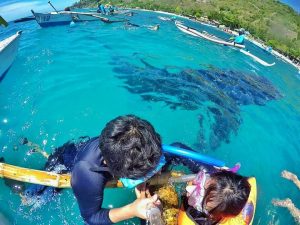 Whale Shark Watching Area...The only photo that i upload before i accidentally delete it all haha!